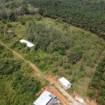Ejen Hartanah Sungai Siput-Tanah Pertanian Untuk Dijual Di Mukim Pulau Kamiri