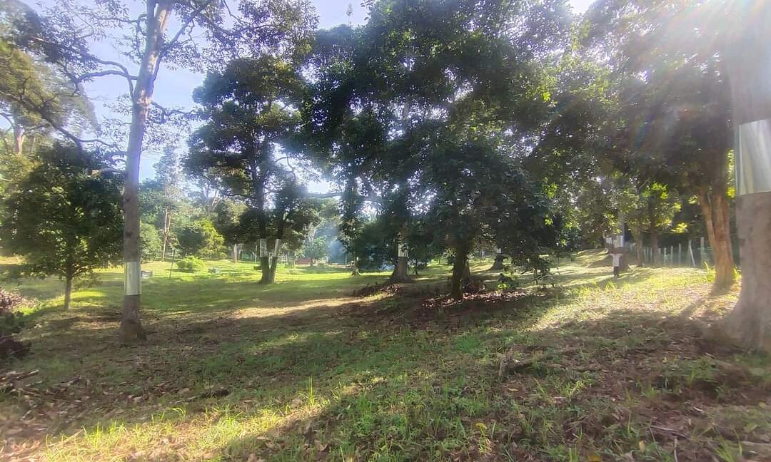 Ejen Hartanah Perak-Tanah Dusun Durian & Rumah Banglo Untuk dijual di Kg Bukit Chupak-18