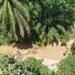 Tanah Tepi Sungai Tnjung Rambutan Untuk Dijual