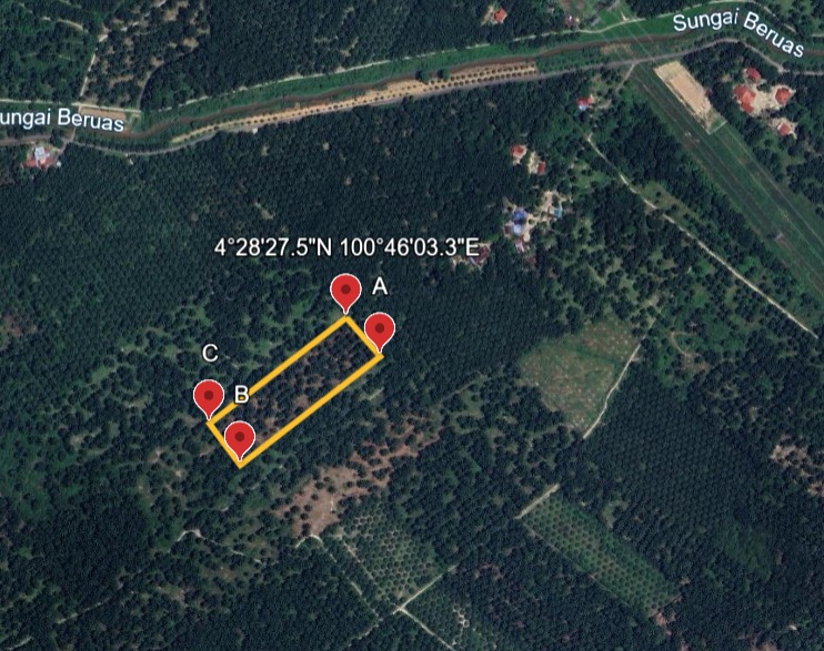 Tanah Kebun Sawit Untuk Dijual Di Beruas, Perak